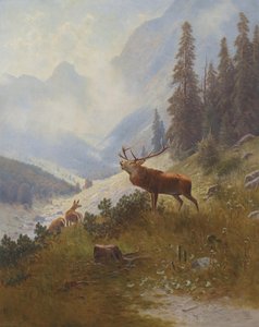 Cervo ruggente in montagna da Ludwig Skell